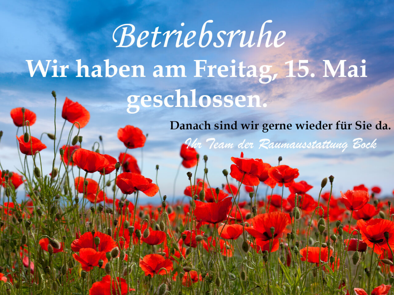 Betriebsruhe am Freitag, 15. Mai. Ein Feld mit roten Mohnblumen.